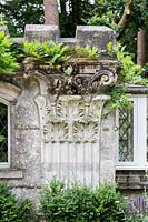 Wisteria growing over a column on a folly, with Buxus sempervirens hedge in a Tom Hoblyn designed garden at Heatherbrae