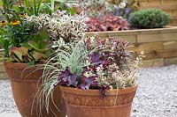 Autumnal container with Heuchera, Carex and Gaura