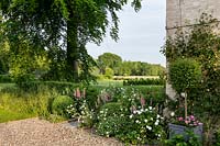 The Manor House, Tom Hoblyn garden planted with Digitalis x mertonensis, box, Rosa 'Madame Hardy', Aquilegia vulgaris 'Alba', Lonicera pileata in container