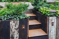 Walker's Wharf Garden, detail of steps built from recycled industrial iron and timber. Plants include Pinus pumila, and foliage of violas and Epimedium x youngianum. RHS Chelsea Flower Show 2017