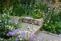 Steps and dry stone walls with blue, purple and yellow planting including Trollius 'Cheddar', Paeonia lactiflora 'Jan van Leeuwen', Fritillaria persica 'Twin Towers', Thallictrum, Anchusa azurea 'Loddon Royalist'-  The Poetry Lover's Garden - RHS Chelsea Flower Show 2017  