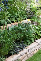 The Poetry Lover's Garden - Dry stone raised beds with Paeonia lactifolora 'Jan van Leeuwen' and Astrantia major 'Star of Billion' and Geranium, RHS Chelsea Flower Show 2017