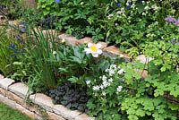 The Poetry Lover's Garden - Dry stone raised beds with Paeonia lactifolora 'Jan van Leeuwen', Thalictrum 'Black Stockings' and Astrantia major 'Star of Billion'-  RHS Chelsea Flower Show 2017