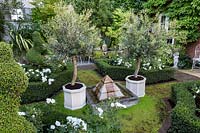 Front garden with low hedging and topiary and  olive trees in containers