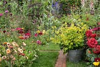 The Anneka Rice Colour Cutting Garden - A narrow brick path and a galvinized bucket full of  Smyrnium perfoliatum surrounding by Verbascum 'Clementine', Geum 'Mai Tai', Calendula officinalis 'Indian Prince', Cosmos and Papaver nudicale 'Champaigne Bubbles' - RHS Chelsea Flower Show