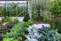 The Chris Evans Taste Garden - Three different varieties of Kale including 'Cavolo Nero', green and red cabbage and fennel with cherry tomatoes inside greenhouse - RHS Chelsea Flower Show 2017 