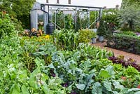 The Chris Evans Taste Garden - Allotment with rows of vegetables including lettuce and broad beans - RHS Chelsea Flower Show 2017