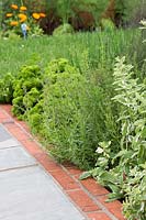 Brick edged path with mix of herbs