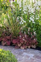 Heucherella 'Sweet Tea' and Digitalis purpurea f. albiflora planted  - Squire's Garden Centres: Urban Oasis garden -Hampton Court Flower Show 2015