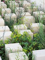 The M and G Garden with Maltese limestone blocks and mediterranean planting with Euphorbia spinosa  - RHS Chelsea Flower Show 2017 - Designer: James Basson, Sponsor M and G investments