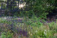 Hawthorn trees, Salvias, and various grasses including Stipa gigantea and Deschampsia - Breaking Ground Garden - RHS Chelsea Flower Show 2017 - Designers: Andrew Wilson and Gavin McWilliam - Sponsor: Darwin Property Investment Management Ltd
