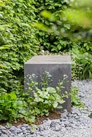 Concrete box on crushed concrete surface with Brunnera macrophylla 'Jack Frost' and Hornbeam hedge  - The Linklaters Garden for Maggie's - RHS Chelsea Flower Show 2017 - Designer: Darren Hawkes