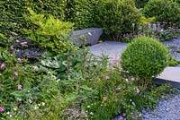Paving made of black  basalt concrete with planting of Geranium,  Iris pallida, Rosa virginiana and Buxus sempervirens with hornbeam hedge - The Linklaters Garden for Maggie's - RHS Chelsea Flower Show 2017 - Designer: Darren Hawkes - Gold