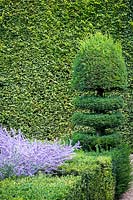 Box hedging and Yew topiary in the parterre garden
