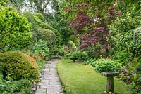 Narrow garden with a stone path, mixed shrub borders and small lawn with Acer palmatum 'Atropurpureum'.