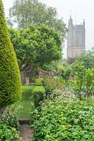 View of country garden towards church. Planting of Yew topiary, ancient apple tree, box edging and bed of astrantias. Bob and Sue Foulser, Cerne Abbas, Dorset.