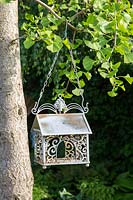 Decorative metal bird feeder on a ginkgo tree