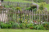 A traditional farmer's garden is separated from the surroundings by a wooden picket fence. Plants are tulips and Erysimum - wallflowers