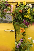 Old Mini car decorated with Alstromeria cut flowers.  RHS Hampton Court Flower Show 2017.