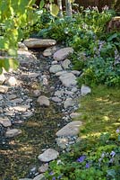 Shallow stream in woodland garden with edging of rocks and pebbles planted with Hostas -  The Zoflora and Caudwell Children's Wild Garden. RHS Hampton Court Flower Show, 2017. Designers: Adam White and Andree Davies
