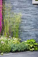 Summer border with Deschampsia cespitosa, Scabiosa columbaria 'Flutter Rose Pink' and Eryngium x zabelii 'Jos Eijking' by modern black slate stone wall. Contemporary Bee and Butterfly Garden - BBC Gardeners World Live Flower Show, 2017