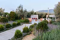 Patio with outdoor kitchen, heated pool and  seating area surrounded by olive trees in large terracotta planters - The Retreat, RHS Malvern Spring Festival 2017