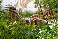 Allium, Salvia and Anthriscus sylvestris surround slatted recliners - Spa Garden - Molecular Garden, RHS Malvern Spring Festival 2017 