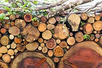 Fence made of rustic oak logs and branches - Buckfast Abbey Millennium Garden, RHS Malvern Spring Festival 2017