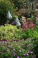 Decorative pottery seedheads among Euonymus, pink Geraniums, Penstemon 'Garnet Red', Fuschia 'Empress of Prussia' and Astrantia.