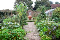 Walled kitchen garden at Brightling Down Farm in October. Lean to greenhouse and central terracotta olive jar bubbling water feature. Self seeded Nasturtiums,Sunflowers and Marigolds tumble over the brick paths, while late crops of Courgettes, Mustard leaves, Runner Beans, Kale, Lettuce, abound