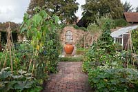 Walled kitchen garden in October. Lean to greenhouse and central terracotta olive jar bubbling water feature. Self seeded Nasturtiums, Sunflowers and Marigolds tumble over the brick paths,  with late crops of Courgettes, Mustard leaves and Runner Beans - Brightling Down Farm
