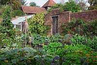 Walled kitchen garden  in October. Lean to greenhouse and old oak door. Self seeded Nasturtiums  tumble over the raised beds while late crops of Courgettes, Mustard leaves, Runner Beans and Kale abound.  A Fig clothes the wall - Brightling Down Farm
