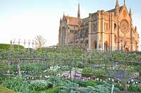 Mixed Tulipa, decorative pergola and pleached fruit trees in walled vegetable garden with cathedral behind at Arundel Castle, Sussex in spring. Head Gardener: Martin Duncan