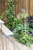 Wooden table and benches with planting of Astilbe and Hosta fortunei 'Albomarginata' in BBC Gardener's World Live, Birmingham 2017 - Living Gardens 'Its Not Just About The Beardâ€¦' Garden - Designer : Peter Cowell and Monty Richardson