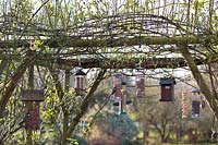 Goldfinch, Blue Tit and Great Tit on birdfeeders