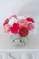 Perpetual Carnations mixed