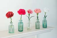Perpetual Carnations mixed in vintage glass bottles