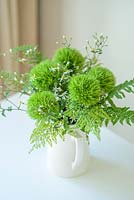 Green Sweet Williams in an arrangement with fern leaves
