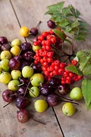 Rowan berries and crab apples on wooden background