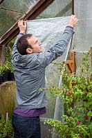 Putting up greenhouse insulation, bubblewrap, October