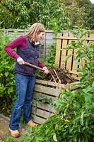 Turning over compost heap with fork to speed up process of decomposition, October