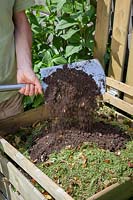 Adding soil to grass clippings in compost to maintain balance and help rot, June
