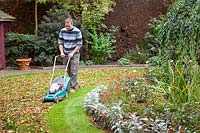 Gathering autumn leaves using rechargeable electric mower, October