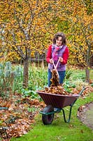 Clearing autumn leaves from a flower bed
