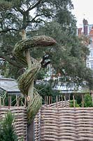 Woven willow sculpture in Chelsea Physic Garden, London, depicting 'The Rod of Asclepius', traditionally shown as a serpent entwined around a staff