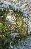 Rustic seat with arbour, after a light snowfall in a Kentish garden with Lonicera - Honeysuckle, and Hedera - Ivy interleaved, April
