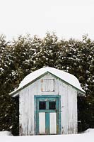 Small  grey and turquoise wooden storage garden shed covered with snow in front of Thuja occidentalis - Cedar tree hedge in residential backyard in winter, Quebec, Canada. 