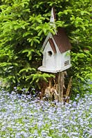 Picea - Spruce tree underplanted with a brown and white wooden chapel style birdhouse on top of decaying tree stump surrounded by blue Myosotis - Forget-Me-Not flowers in backyard garden in spring, Le Jardin de Francois garden, Quebec, Canada. 