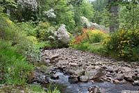 Crarae garden. National Trust for Scotland, May