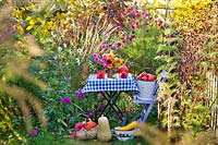 Display of autumn flowers and produce on garden table - Dahlia, Solidago, Zinnia
